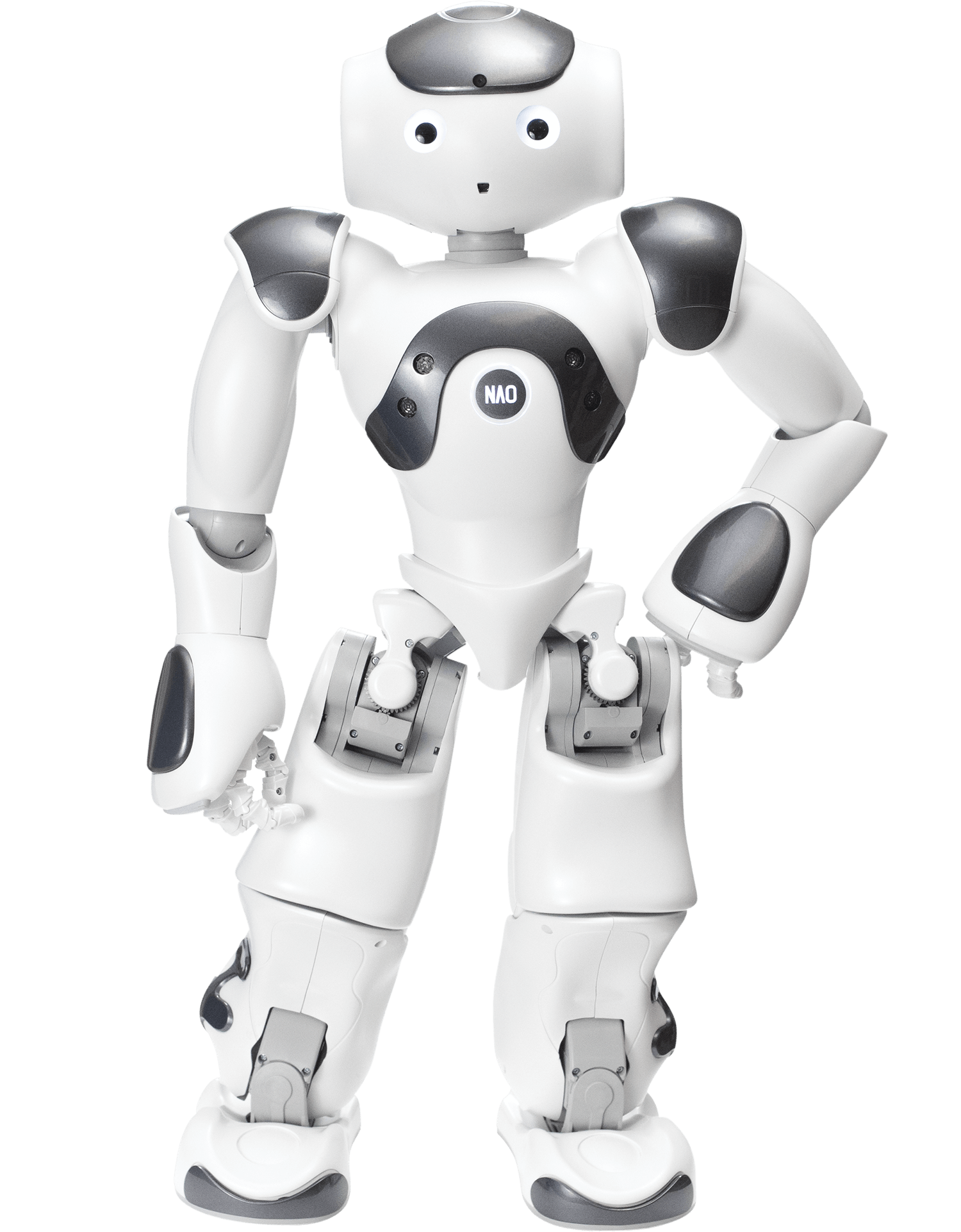 Detail Pic Of Robots Nomer 2