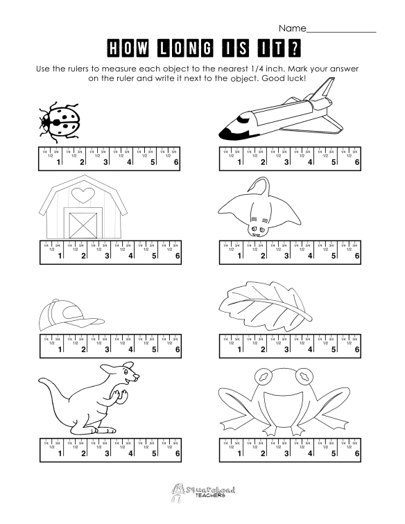 Detail Pic Of Ruler Measurement Nomer 45