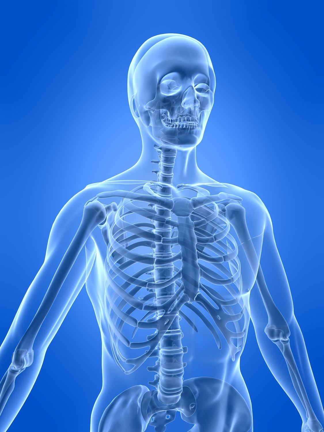 Detail Pic Of Skeleton Nomer 42