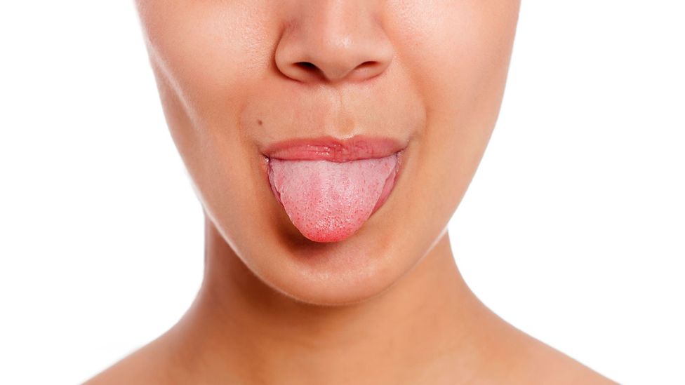 Detail Pic Of Tongue Nomer 43