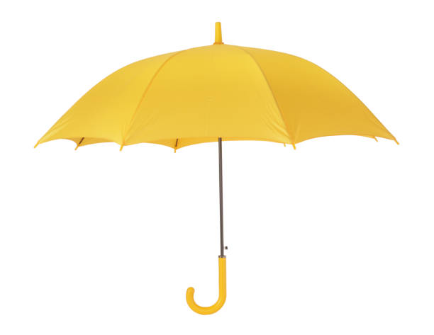 Detail Pic Of Umbrella Nomer 12