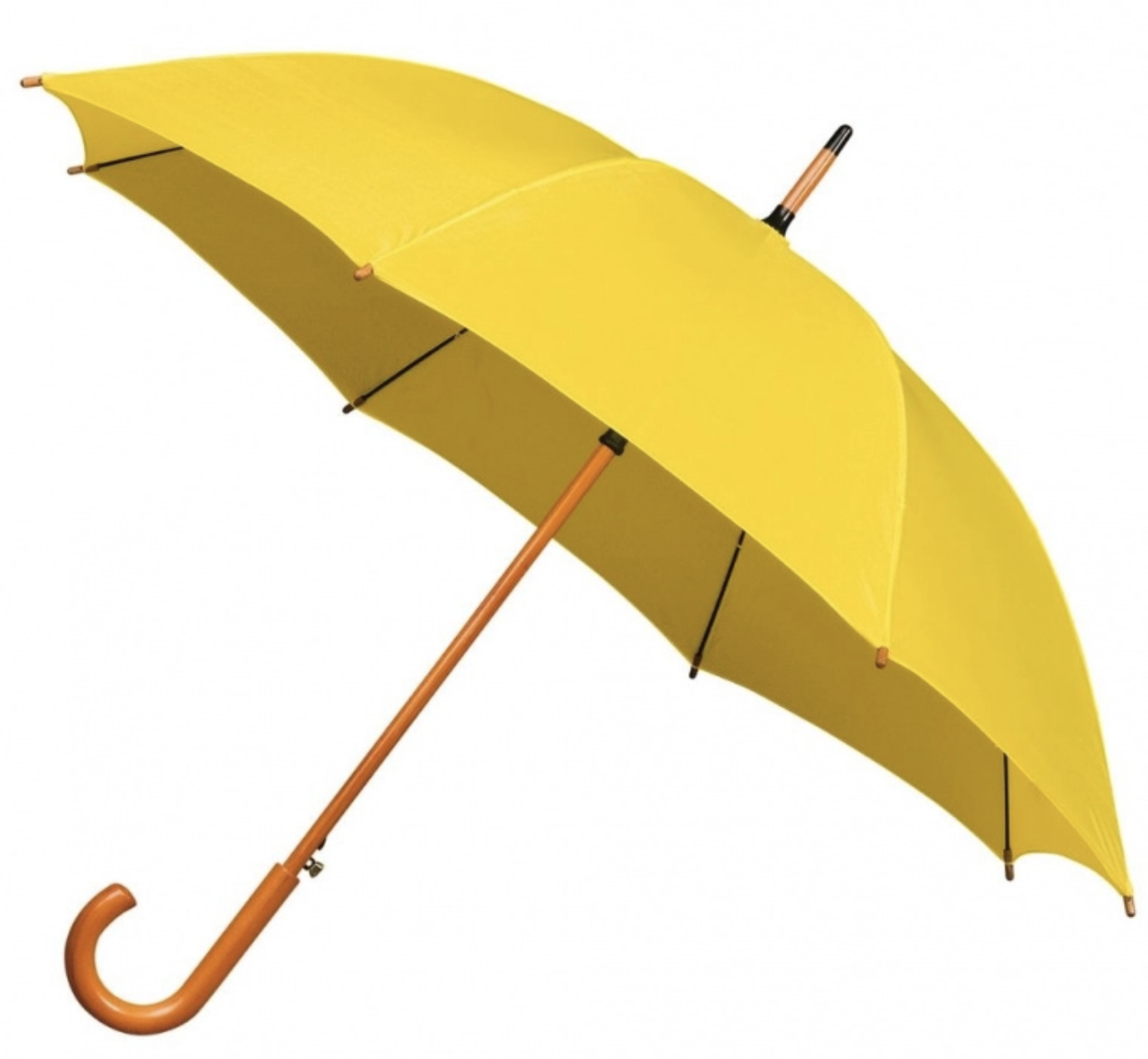 Detail Pic Of Umbrella Nomer 24