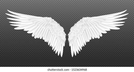Detail Pic Of Wings Nomer 2
