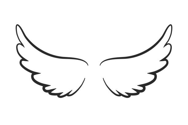 Detail Pic Of Wings Nomer 11