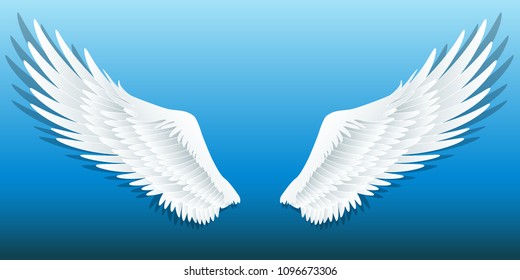 Detail Pic Of Wings Nomer 3