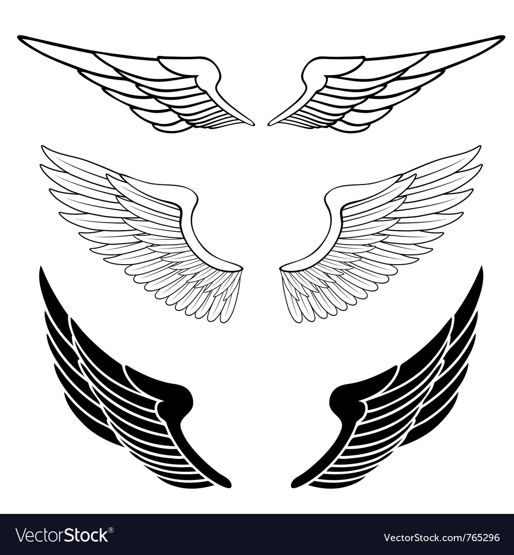Detail Pic Of Wings Nomer 29