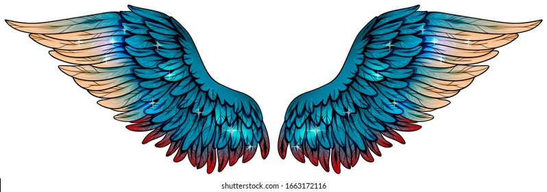 Detail Pic Of Wings Nomer 4