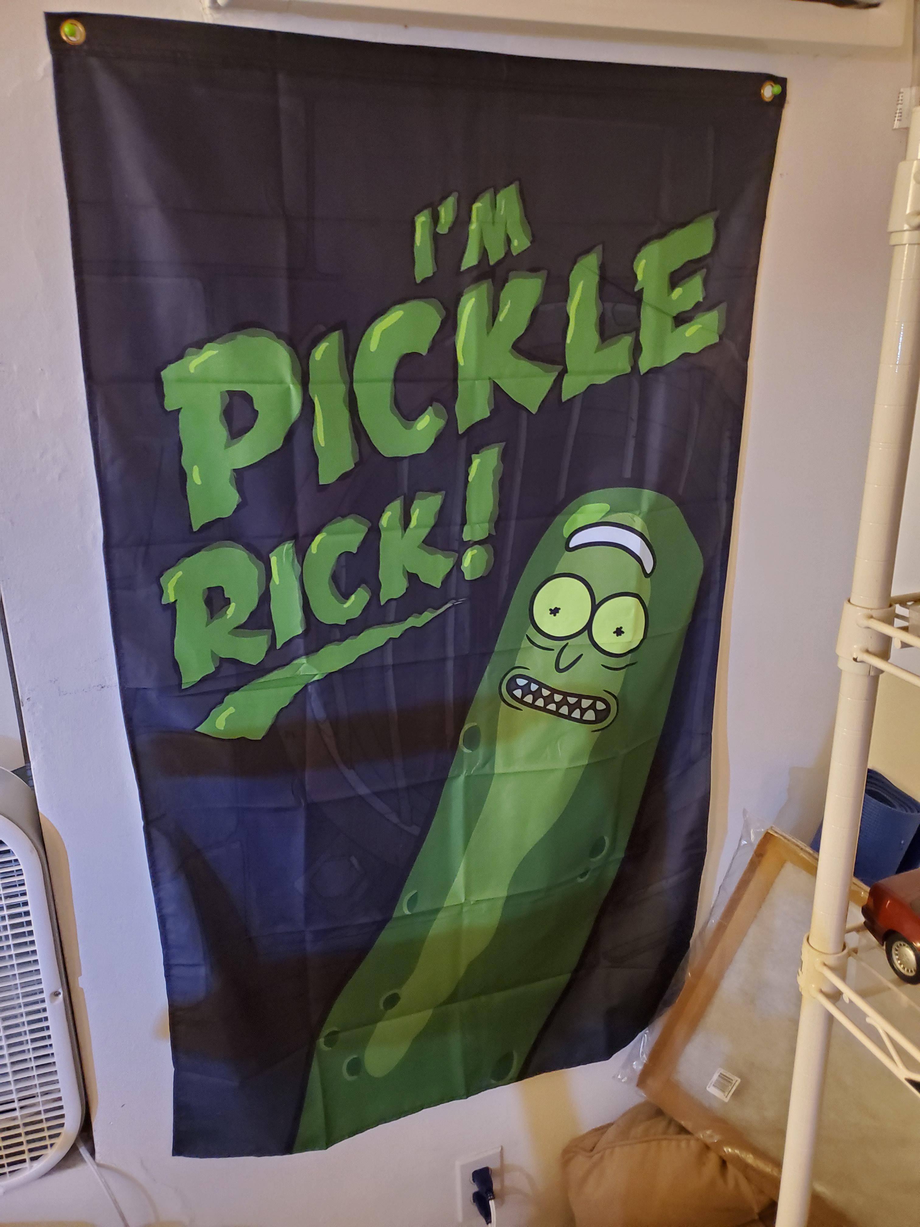 Detail Pickle Rick Quotes Nomer 53