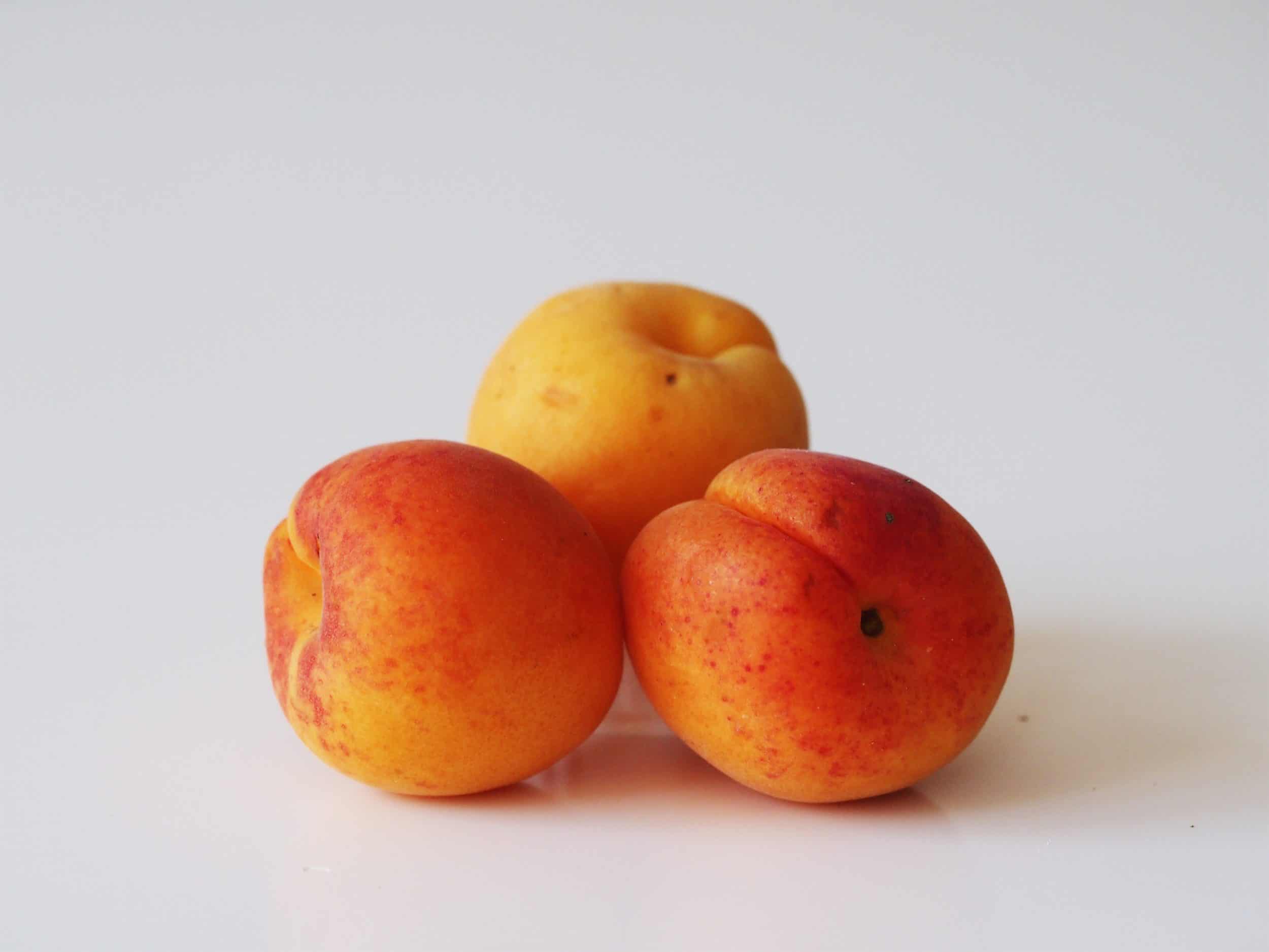 Detail Pics Of Apricots Nomer 11