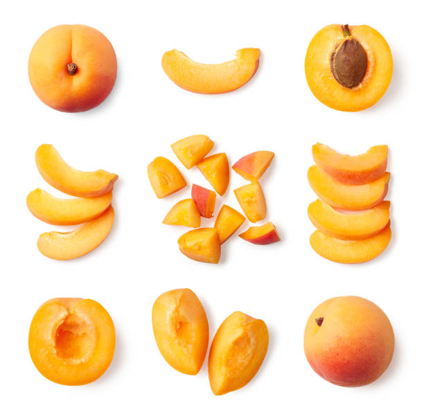 Detail Pics Of Apricots Nomer 19
