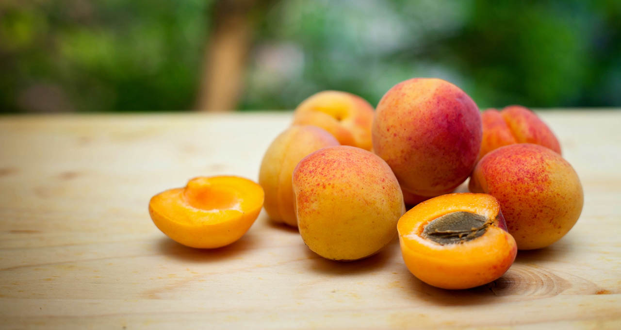 Detail Pics Of Apricots Nomer 24