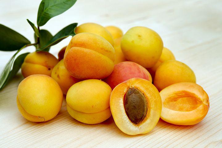 Detail Pics Of Apricots Nomer 36