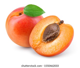 Detail Pics Of Apricots Nomer 5