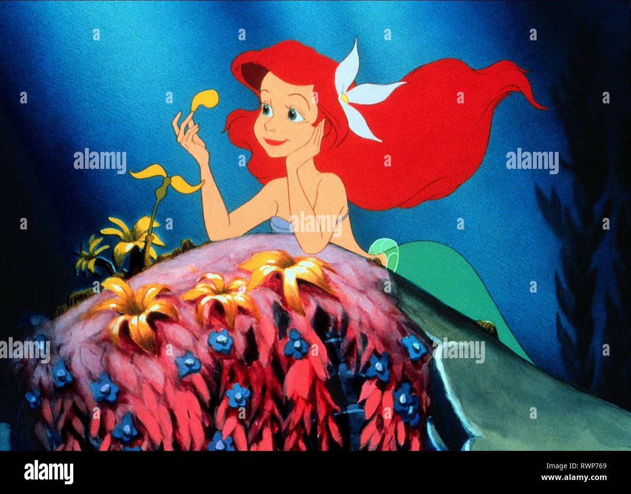 Detail Pics Of Ariel The Mermaid Nomer 53