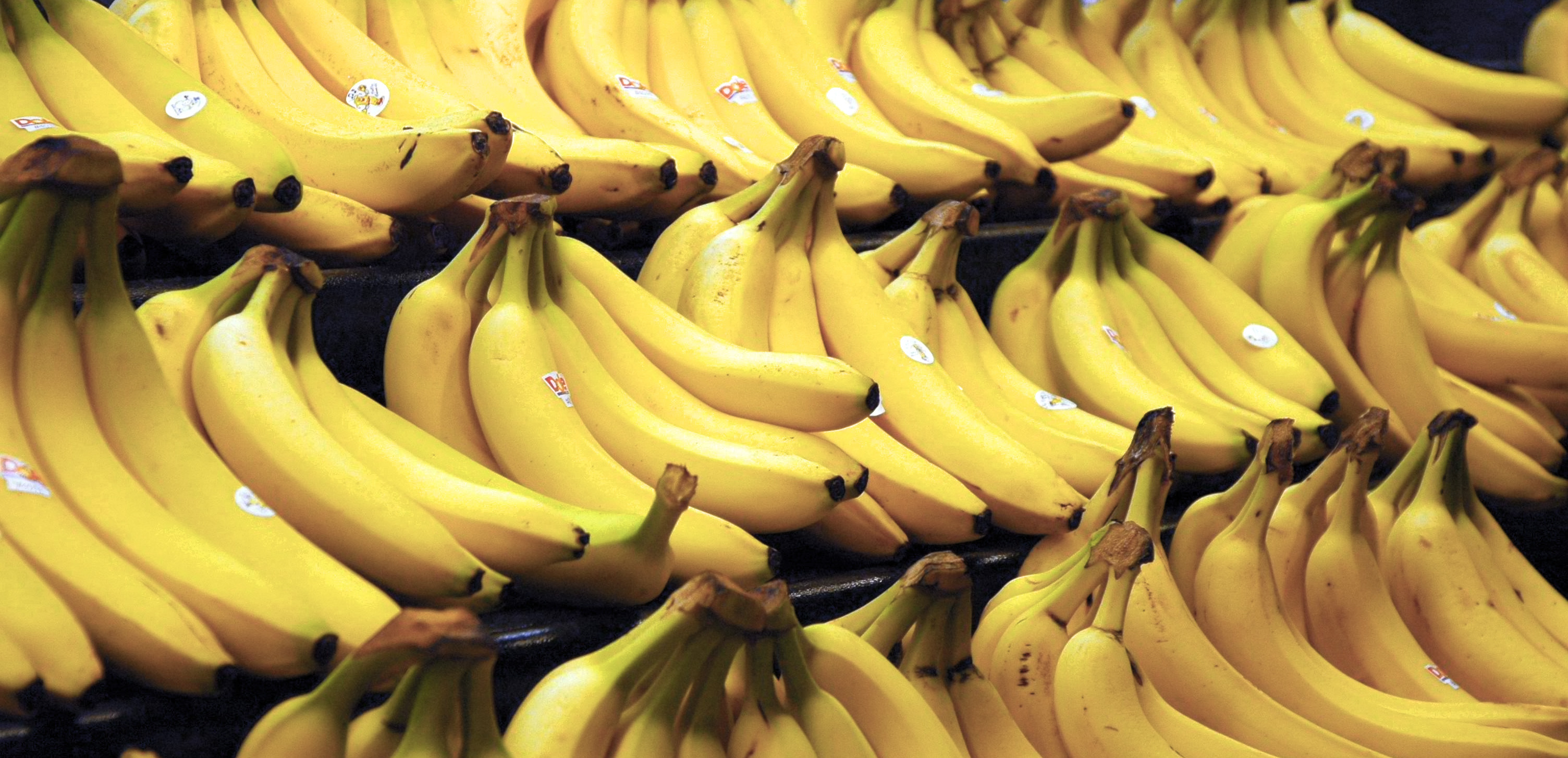 Detail Pics Of Bananas Nomer 40