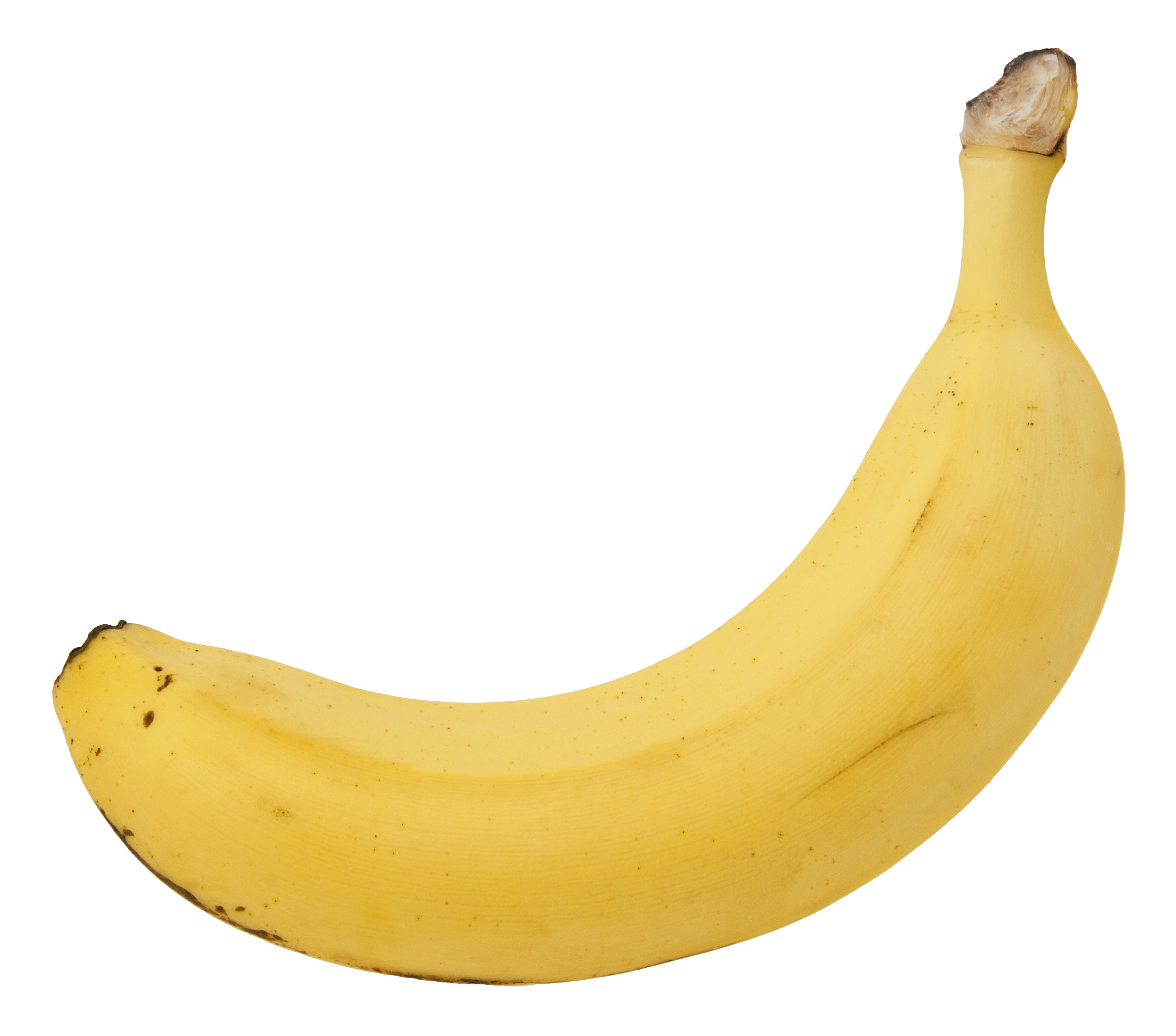 Detail Pics Of Bananas Nomer 7