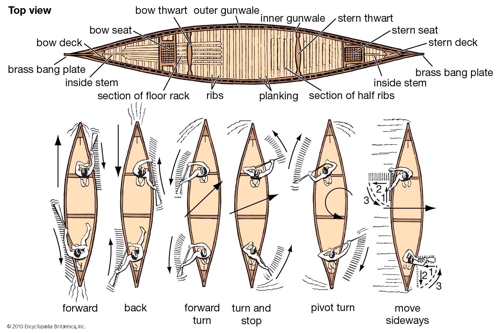 Detail Pics Of Canoes Nomer 18