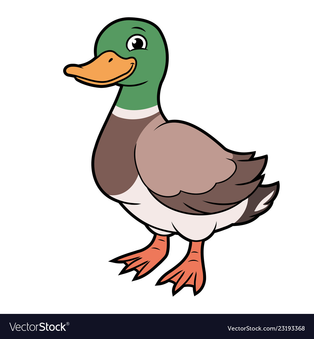 Detail Pics Of Cartoon Ducks Nomer 30