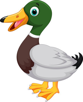 Detail Pics Of Cartoon Ducks Nomer 7