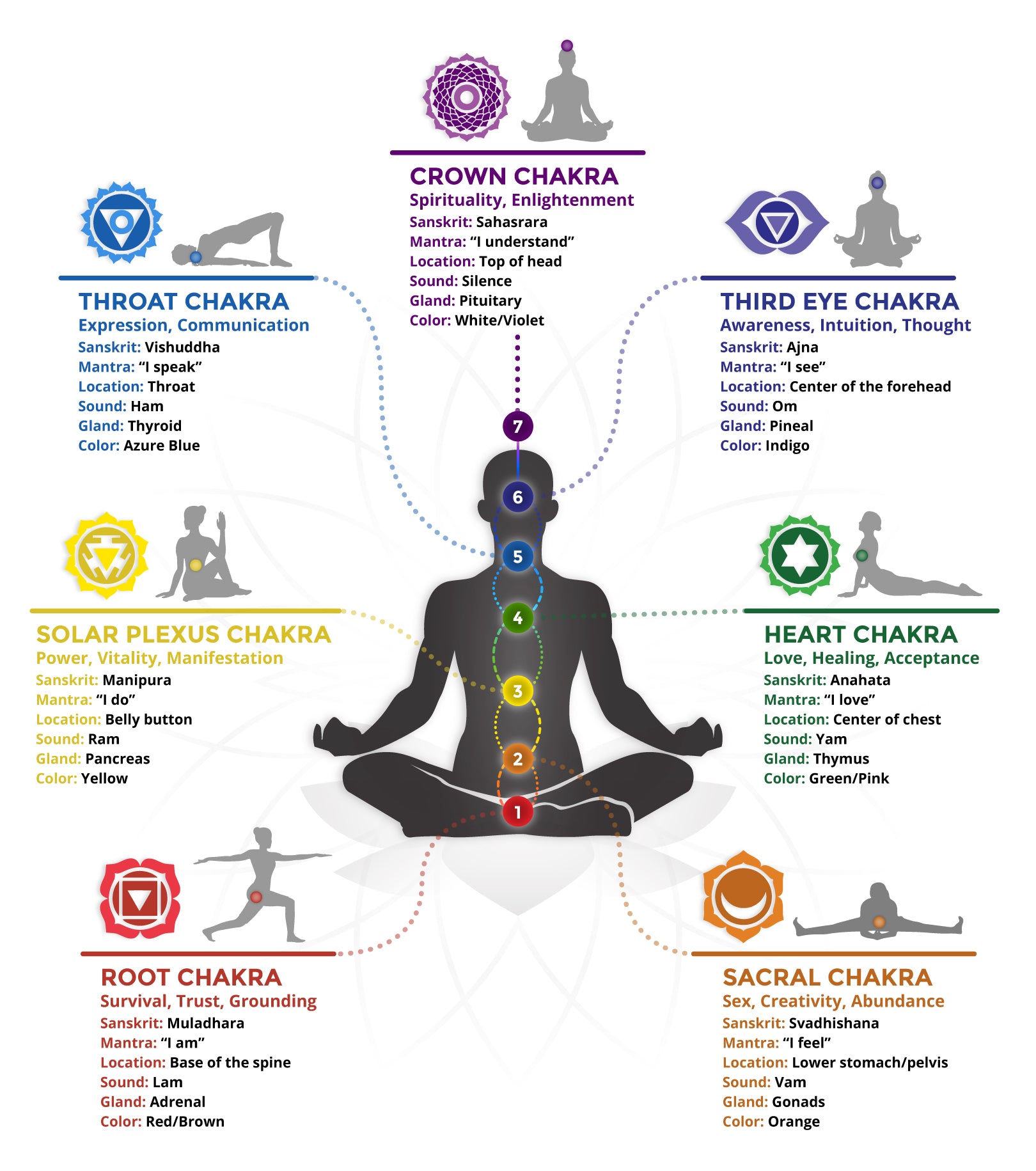 Detail Pics Of Chakras Nomer 6