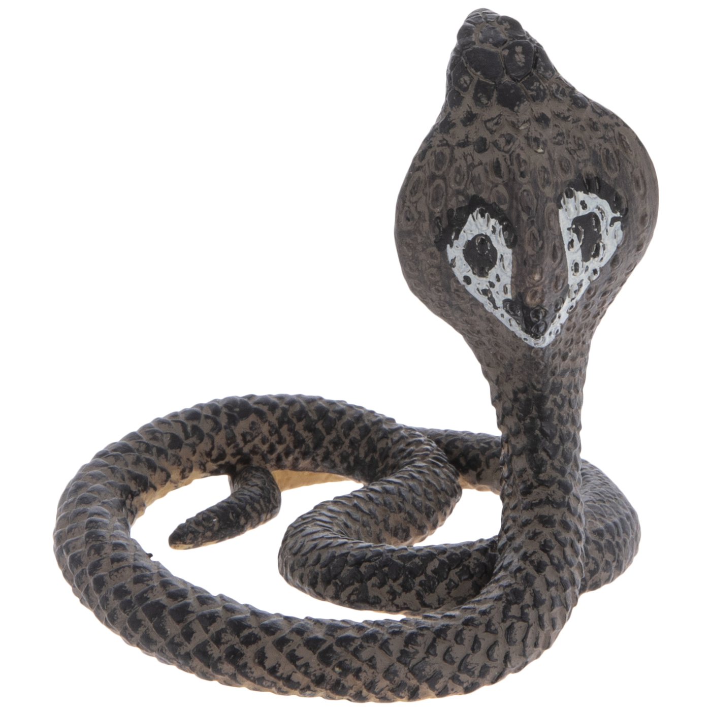 Detail Pics Of Cobra Snake Nomer 33