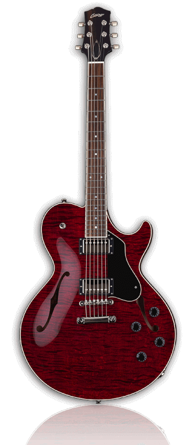 Detail Pics Of Electric Guitars Nomer 55