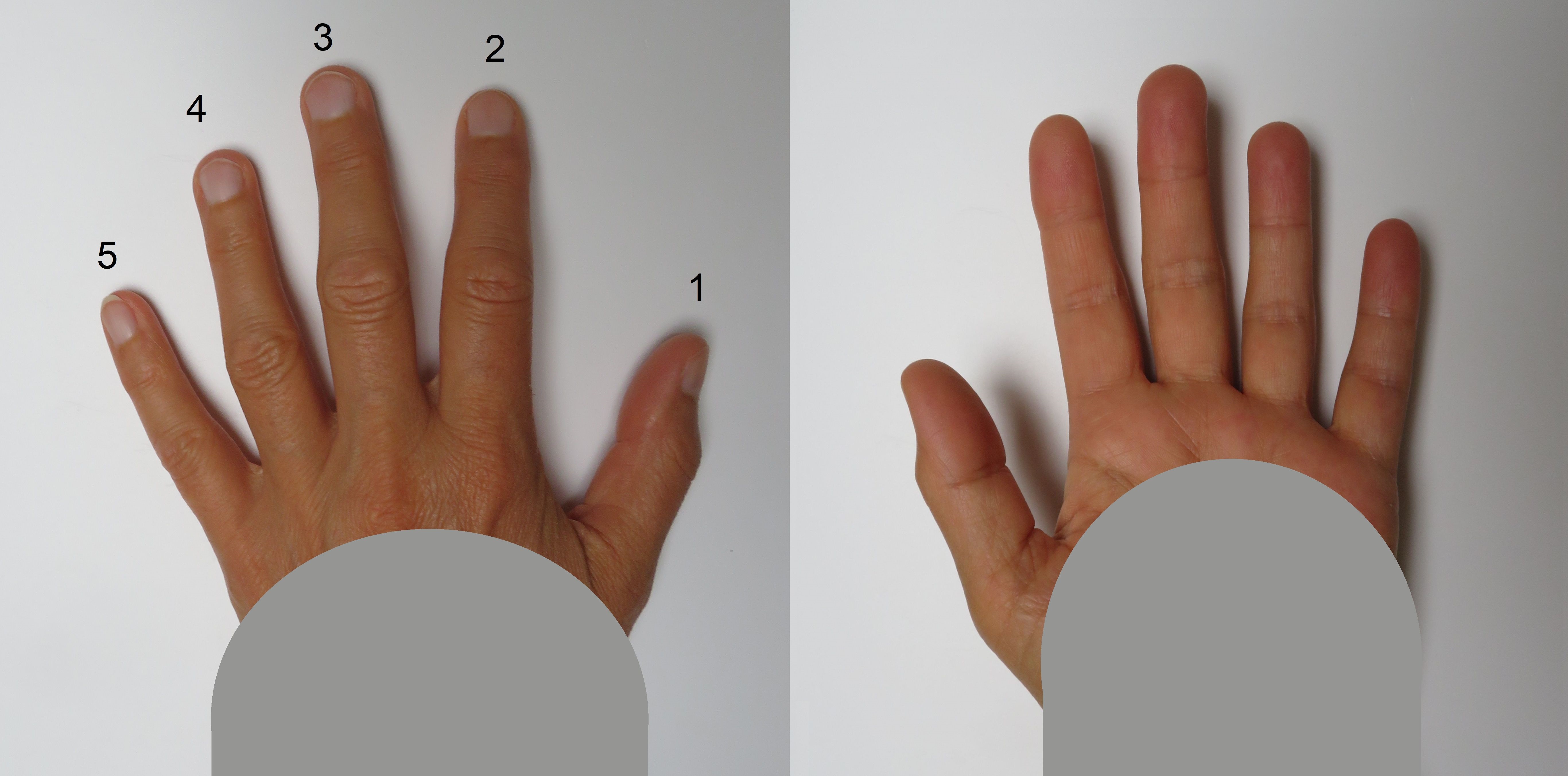 Detail Pics Of Finger Nomer 3
