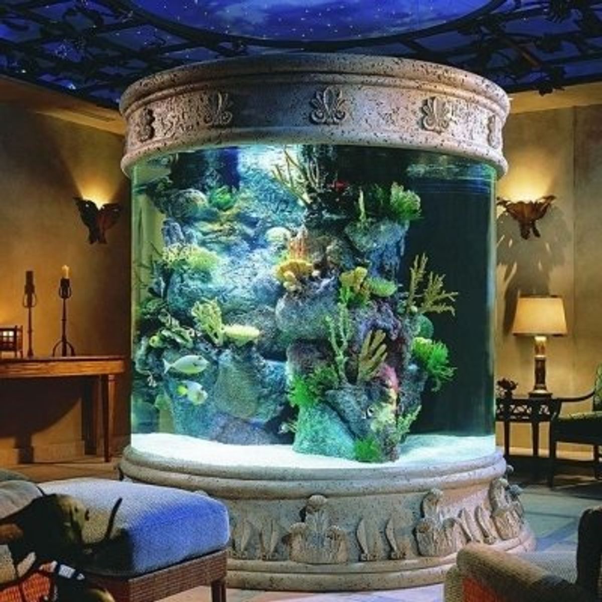 Detail Pics Of Fish Tanks Nomer 30