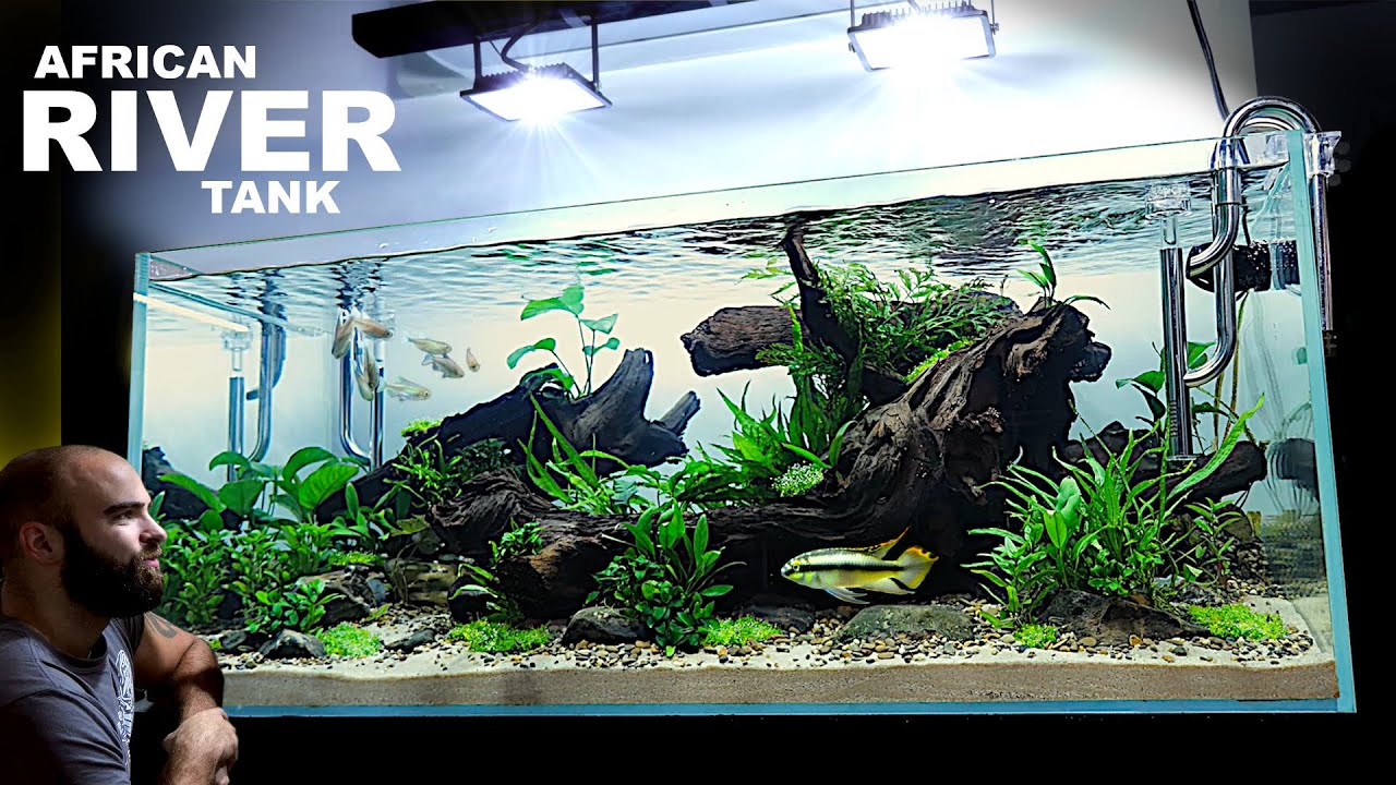 Detail Pics Of Fish Tanks Nomer 46