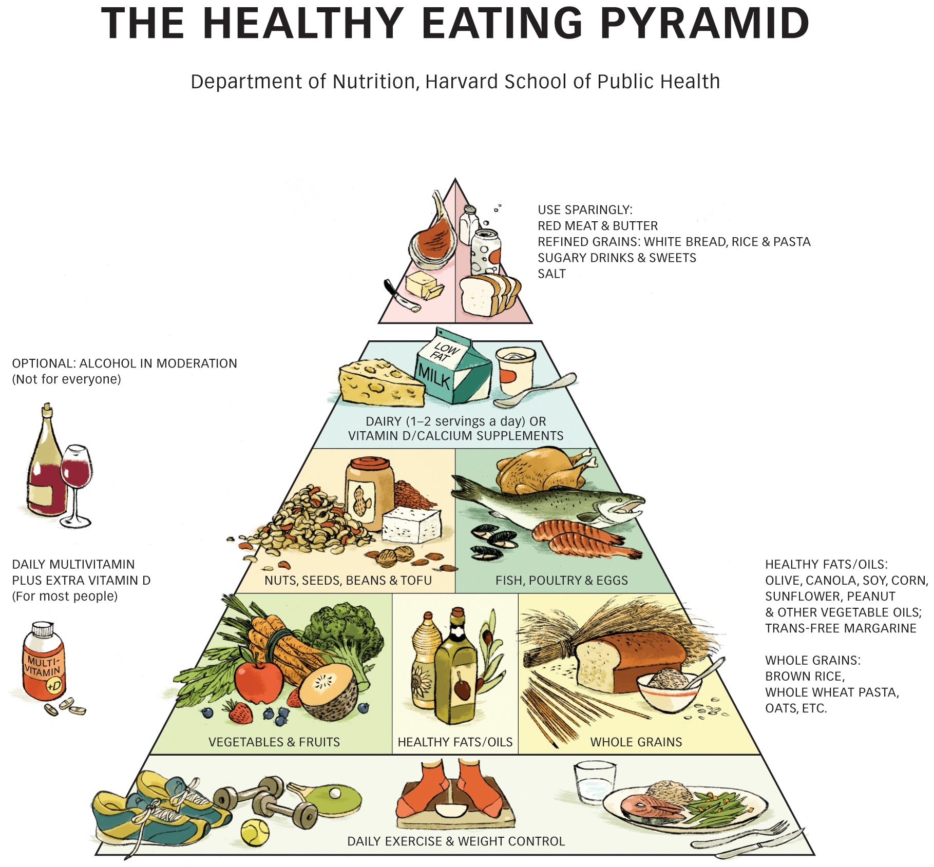 Pics Of Food Pyramid - KibrisPDR