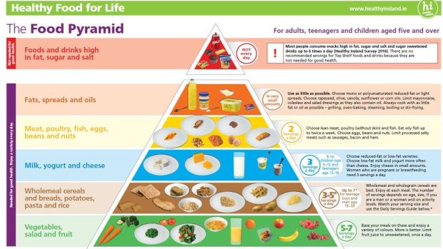 Detail Pics Of Food Pyramid Nomer 15