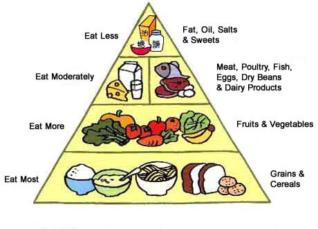 Detail Pics Of Food Pyramid Nomer 4