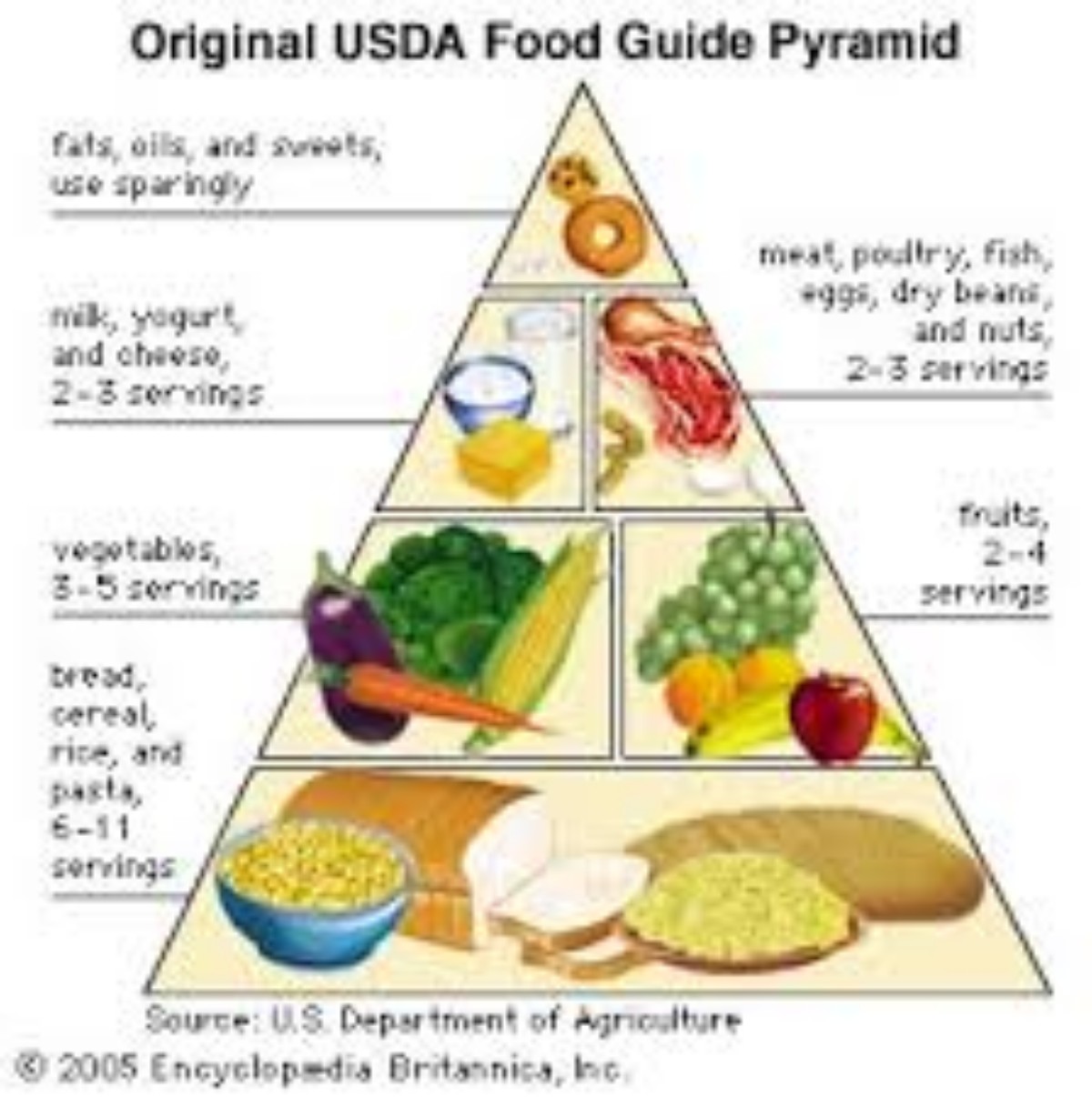 Detail Pics Of Food Pyramid Nomer 8