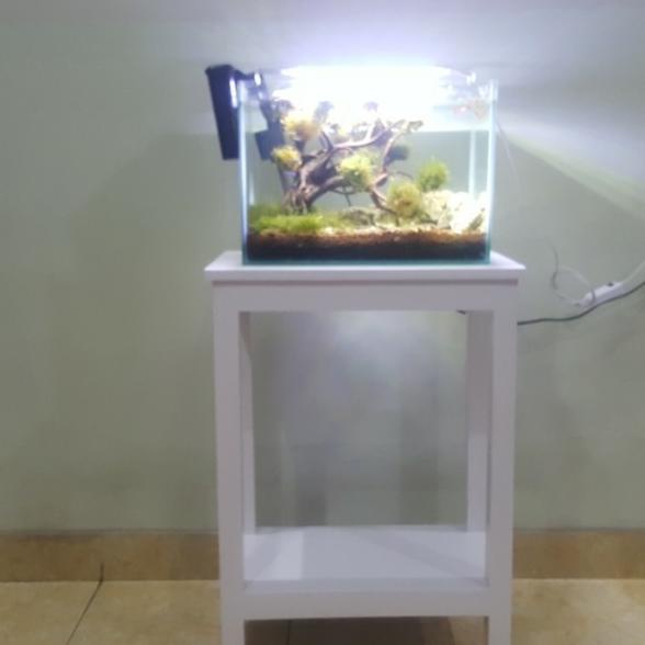 Detail Meja Aquarium Minimalis Nomer 39