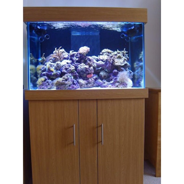 Detail Meja Aquarium Minimalis Modern Nomer 48