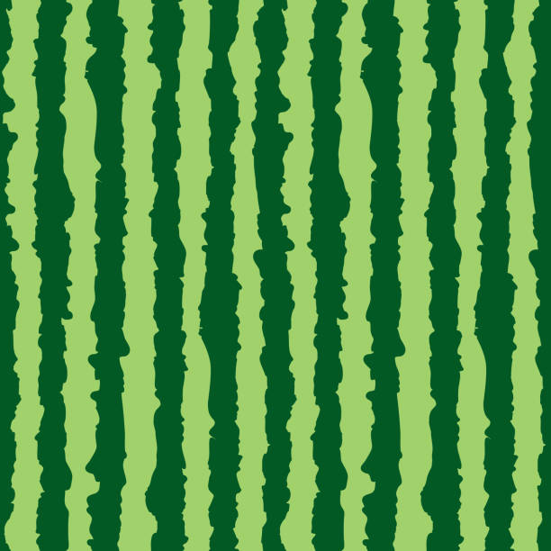 Detail Melon Background Nomer 12