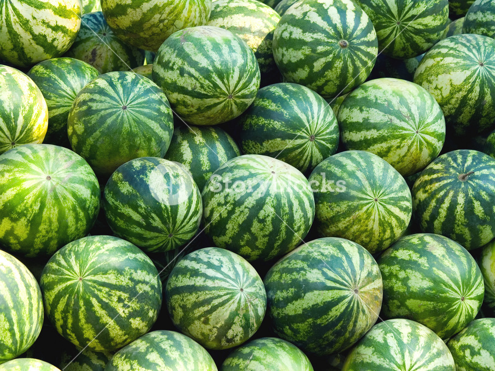 Detail Melon Background Nomer 37