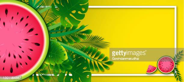Detail Melon Background Nomer 48