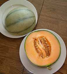 Detail Melon Ball Drink Wikipedia Nomer 41