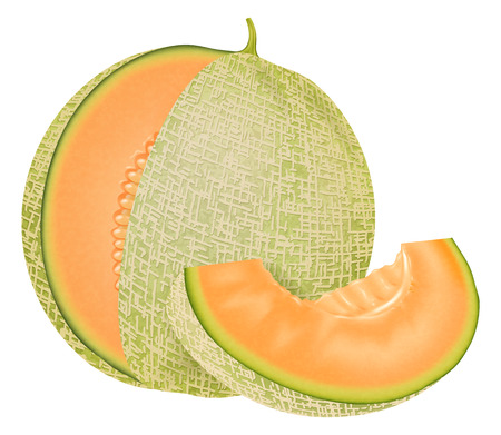 Melon Clipart - KibrisPDR