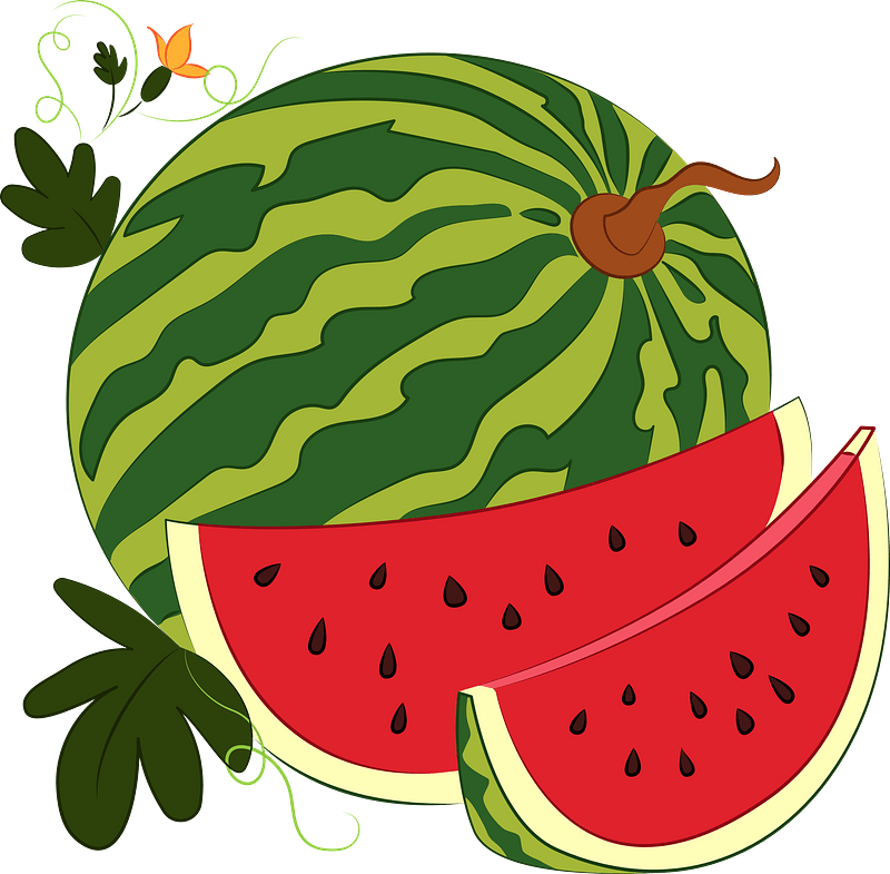 Detail Melon Clipart Nomer 17