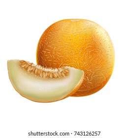 Detail Melon Clipart Nomer 22