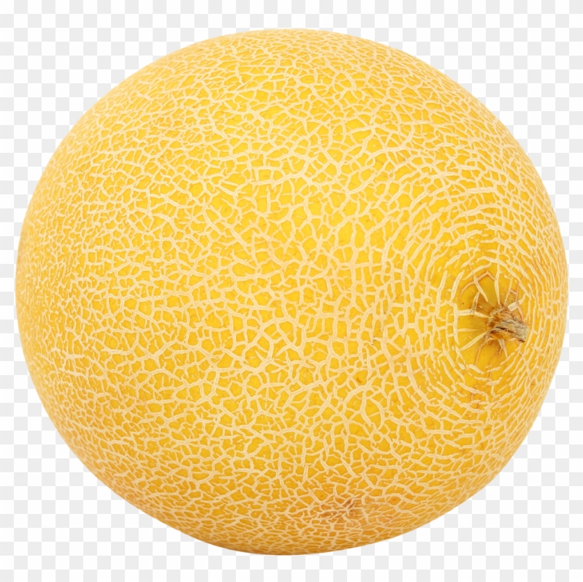 Detail Melon Clipart Nomer 27
