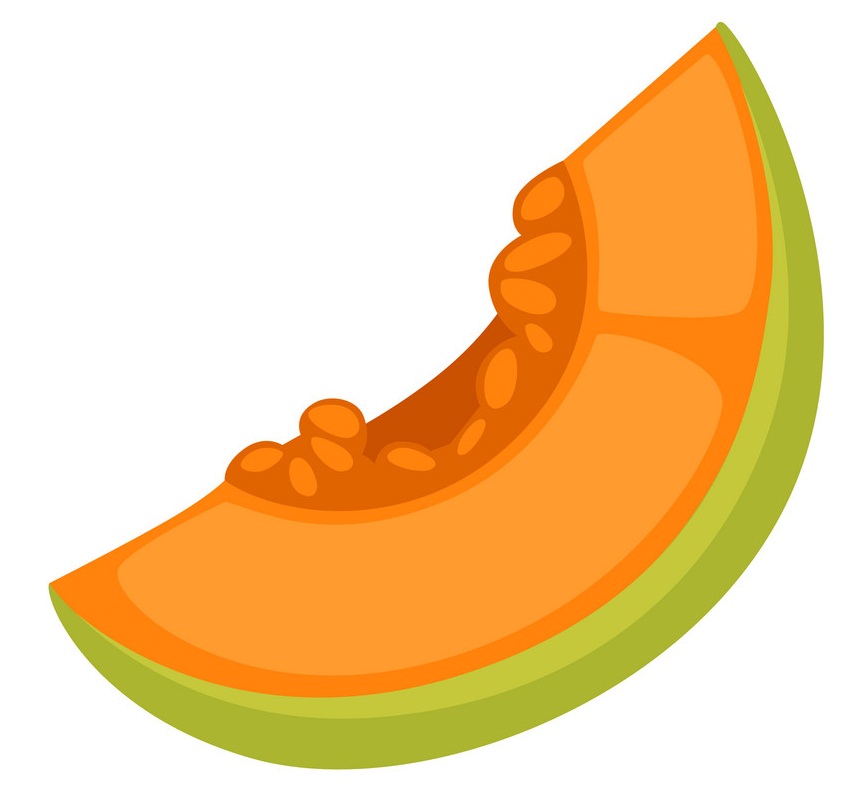 Detail Melon Clipart Nomer 32