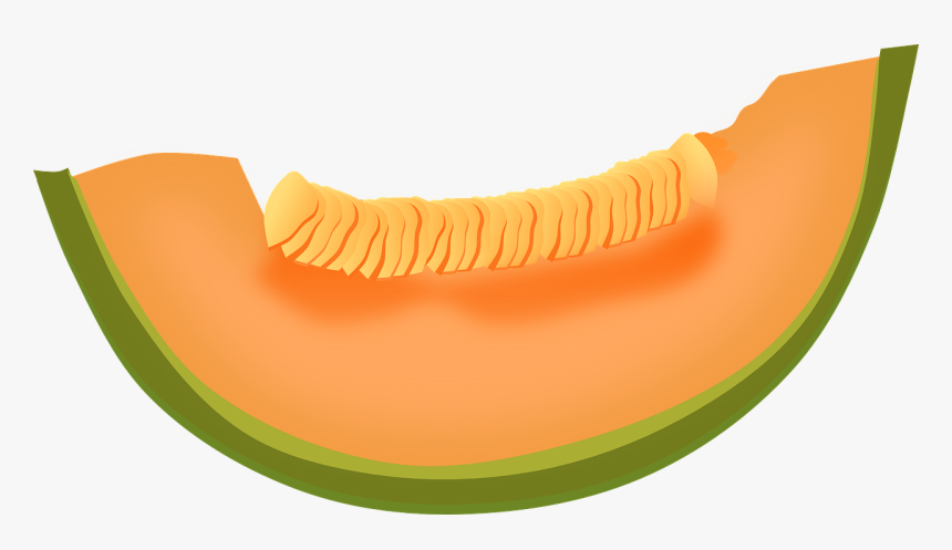 Detail Melon Clipart Nomer 34