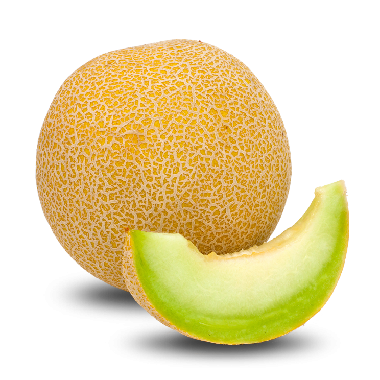 Detail Melon Clipart Nomer 6