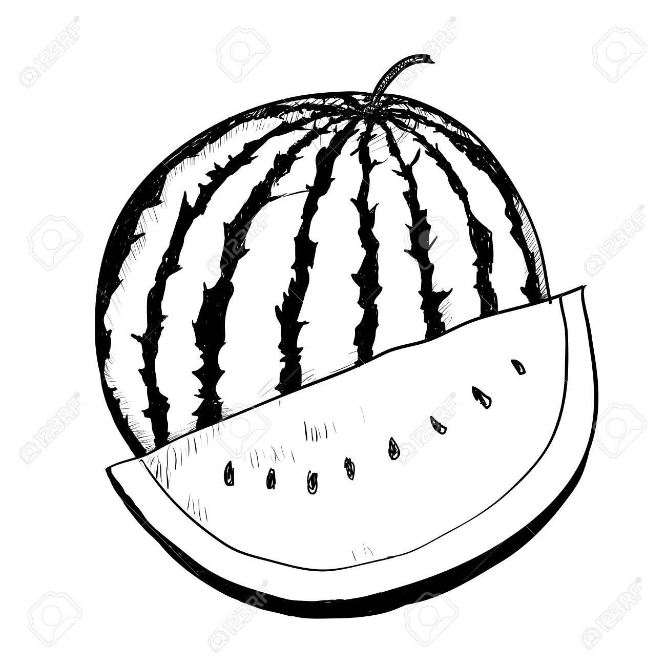 Detail Melon Clipart Black And White Nomer 17