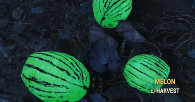 Detail Melon Fallout 76 Nomer 26