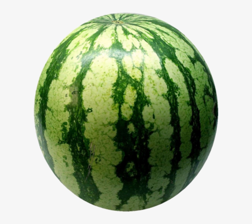Detail Melon Free Nomer 14