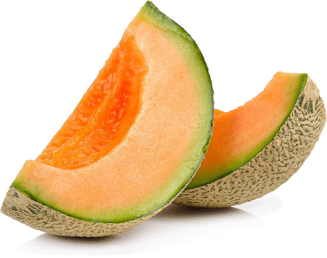 Detail Melon Free Nomer 8
